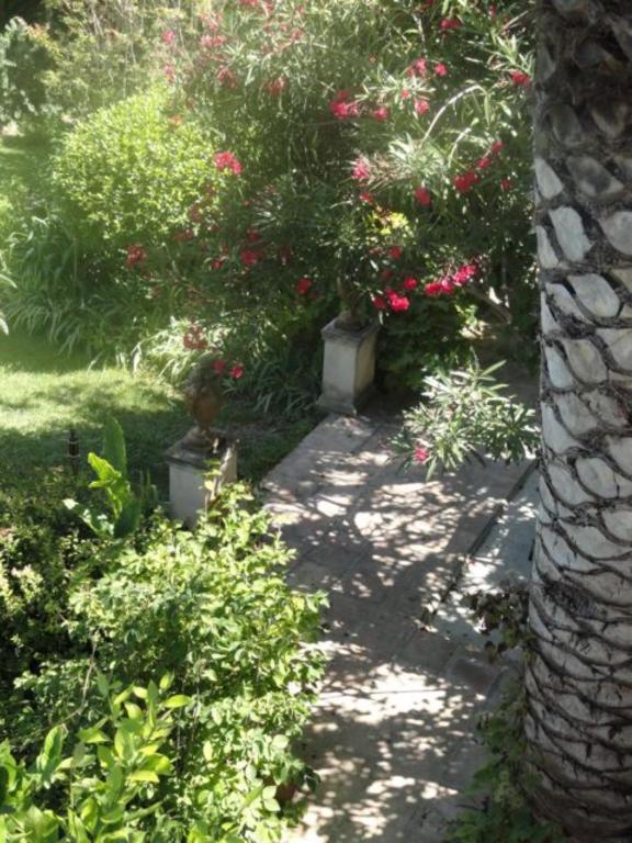 살스-르-샤토 Casa Montes B&B 외부 사진